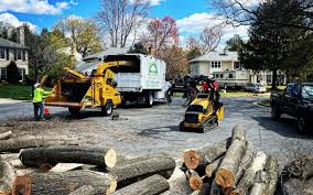 Best Seasonal Cleanup (Spring/Fall)  in Medical Lake, WA